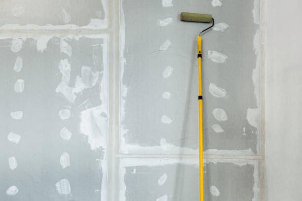 Best Drywall Crack Repair  in Okawvle, IL